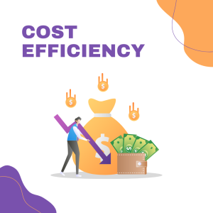 Save Cost Efficiency with Diligen 