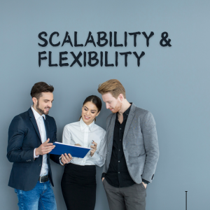 flexibility to scale services up 